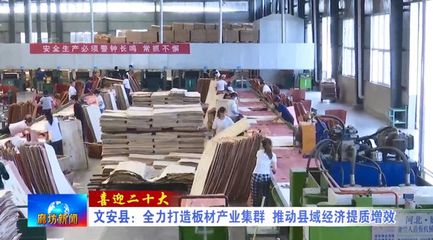 河北文安县全力打造板材产业集群