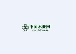 中国木业网