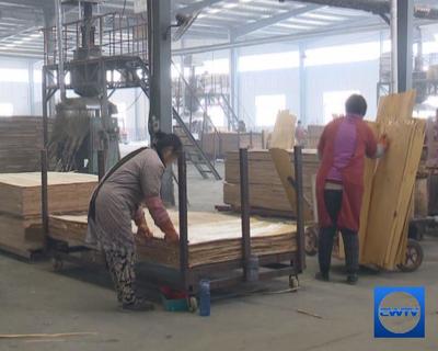 成武县拉长产业链 打造木材加工特色产业